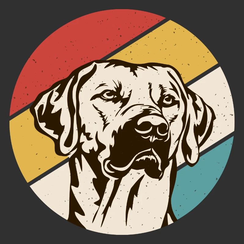 Rhodesian Ridgeback Hund