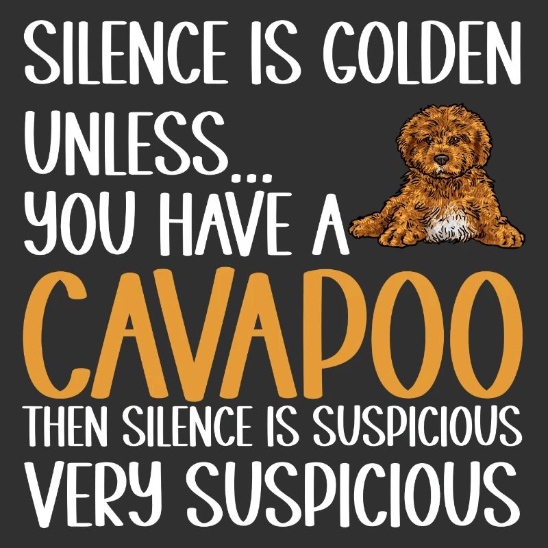 Cavapoo Cavoodle Capoodle Hund