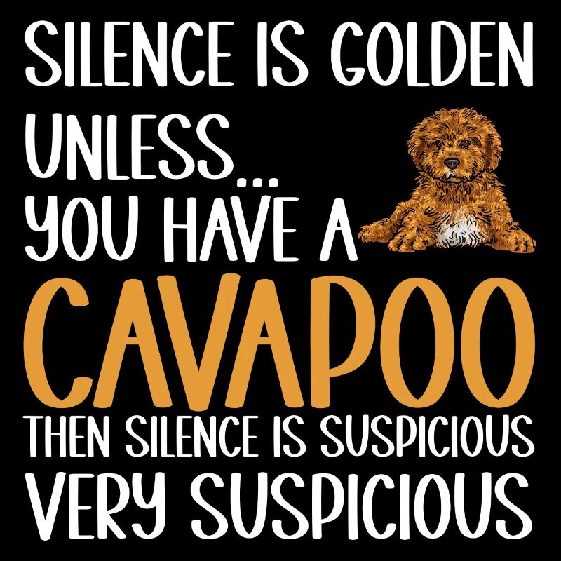 Cavapoo Cavoodle Capoodle Chien