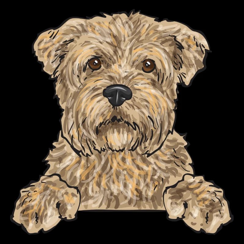 Cairn Terrier Chien