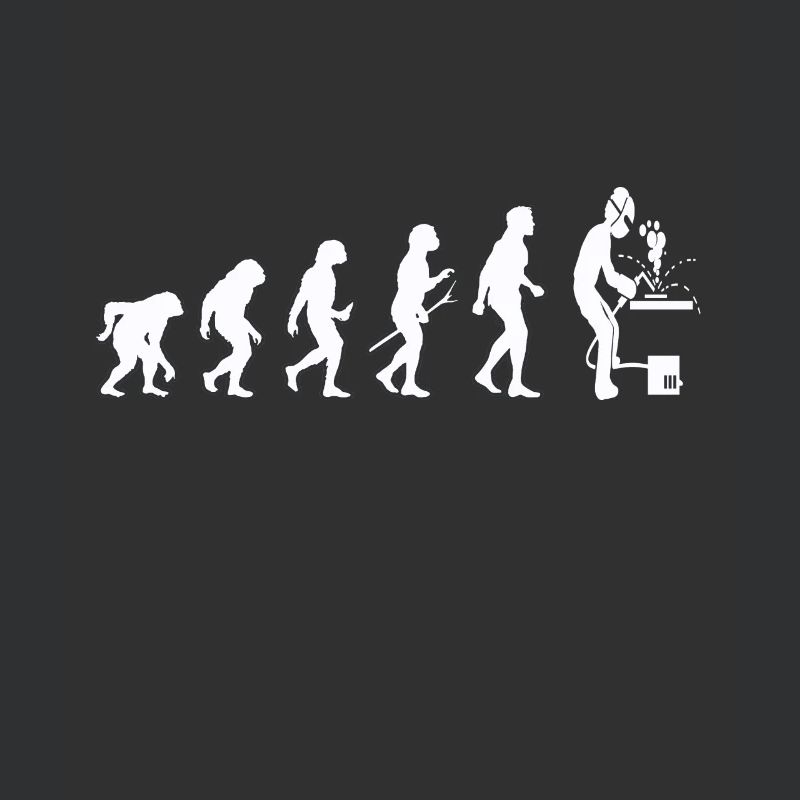Schweißer Evolution Schweißfachmann