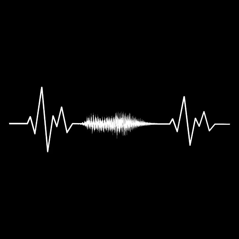 Producer Herzschlag Vintage EDM Synth VST Studio