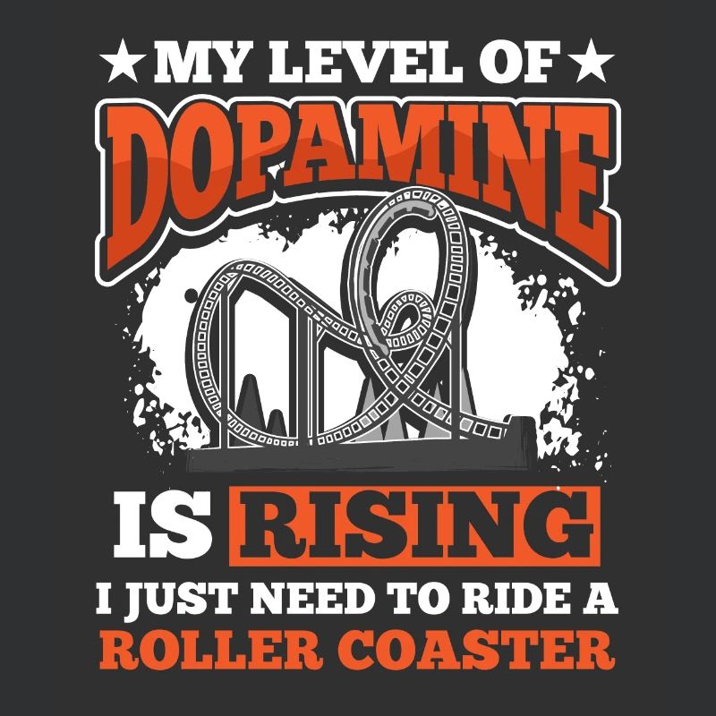 Park Riding Roller Coaster