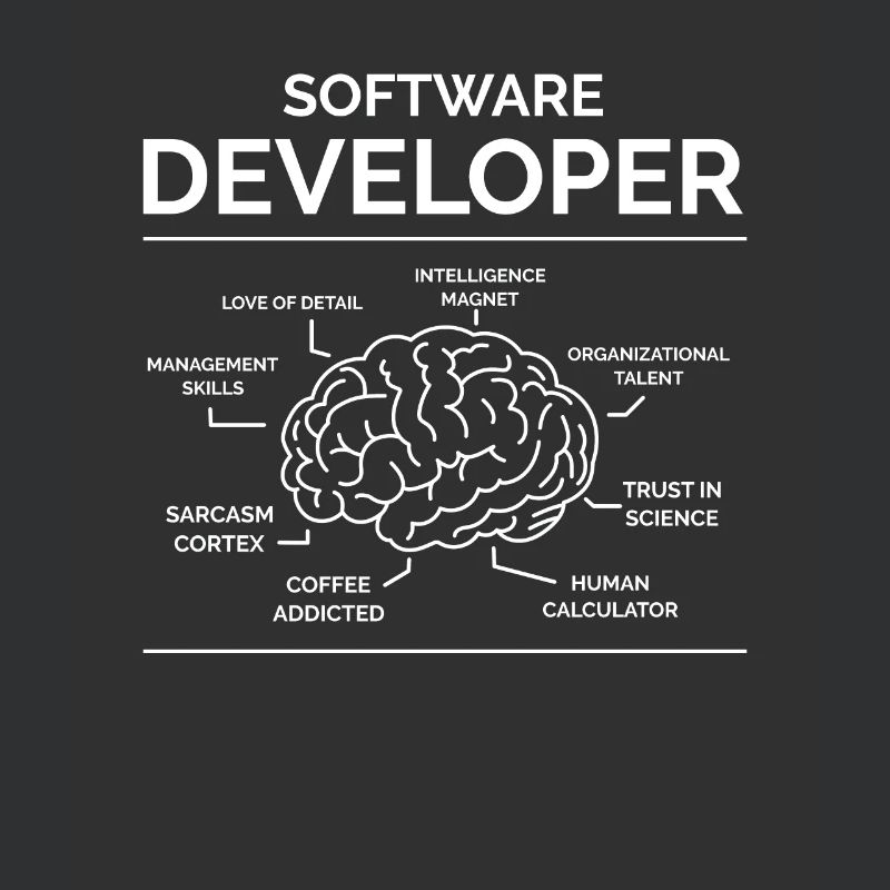 Software Developer