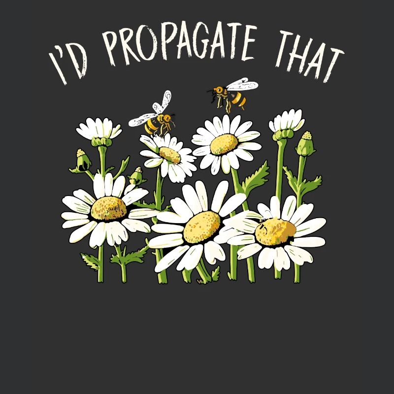 Margeriten Gänseblümchen Sommer Gänseblümchen Blumengarten