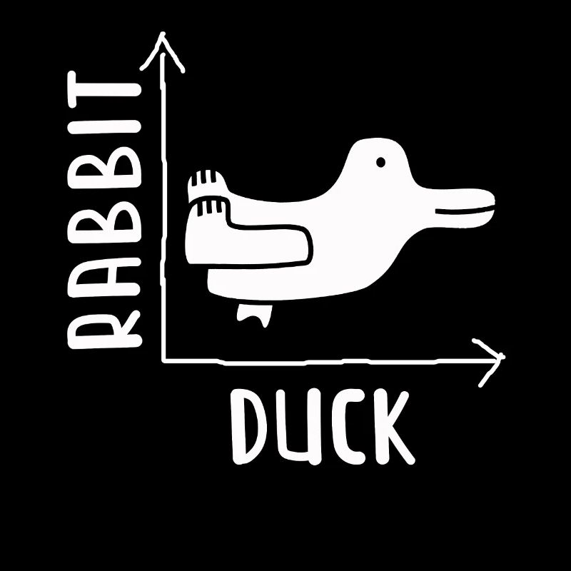 Wittgensteins Hasen-Enten-Illusion