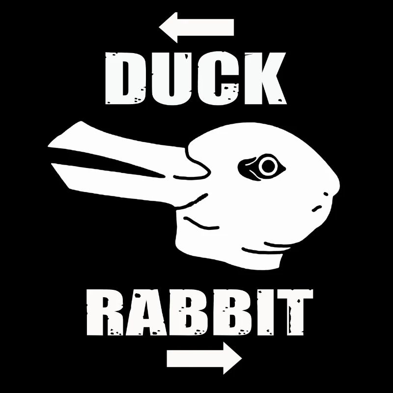 Wittgensteins Hasen-Enten-Illusion