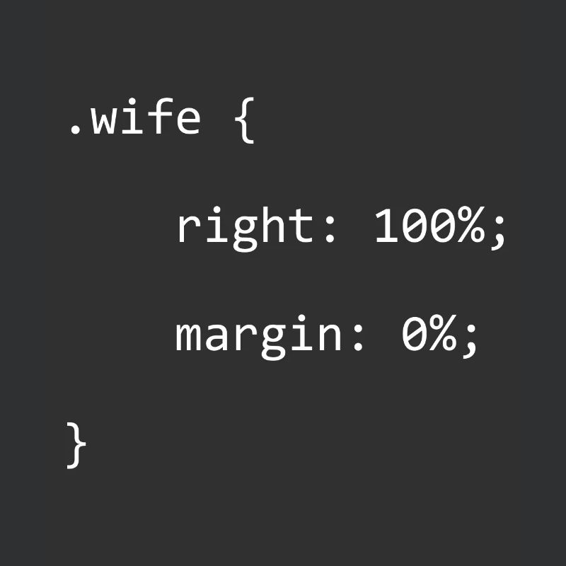 CSS Wife Right Softwareentwickler Developer