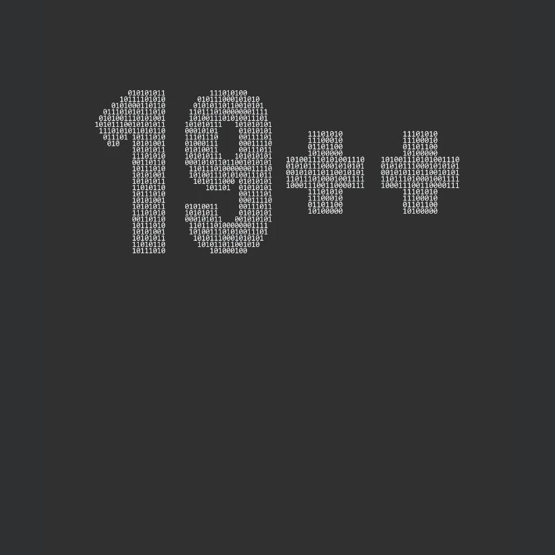 19++ Software Developer Full Stack Coder 20th