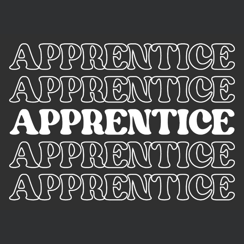 Apprentice Trainee Apprentice Novice Learner