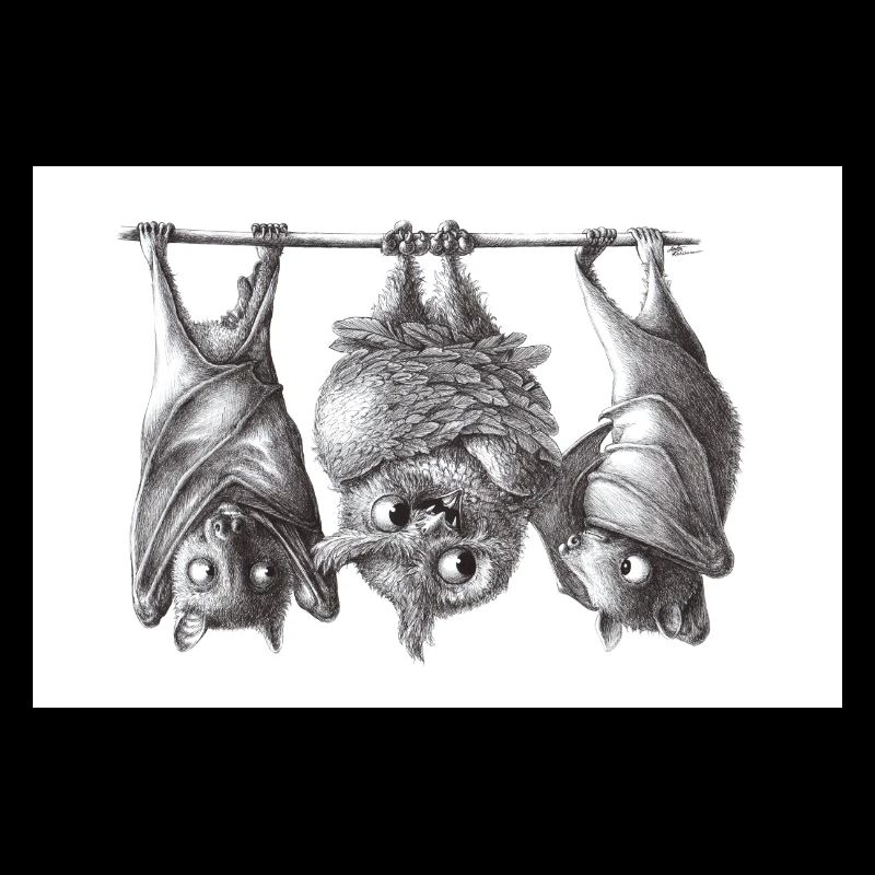 Vampireule und Fledermäuse