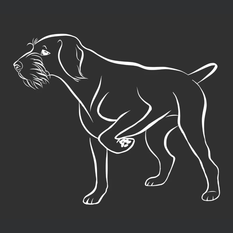 Dt wirehaired white above