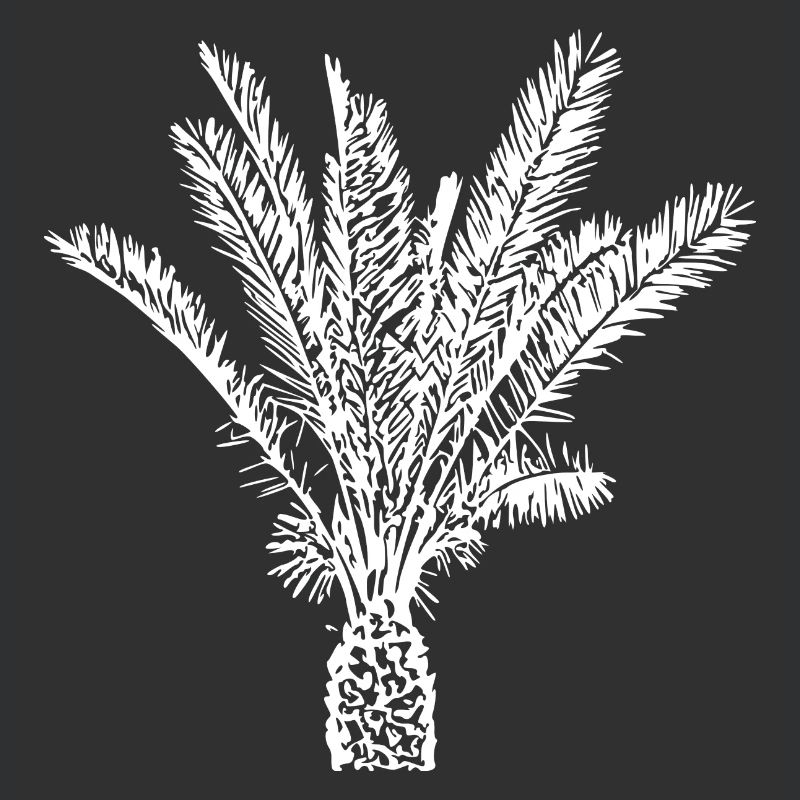 Palm Tree White