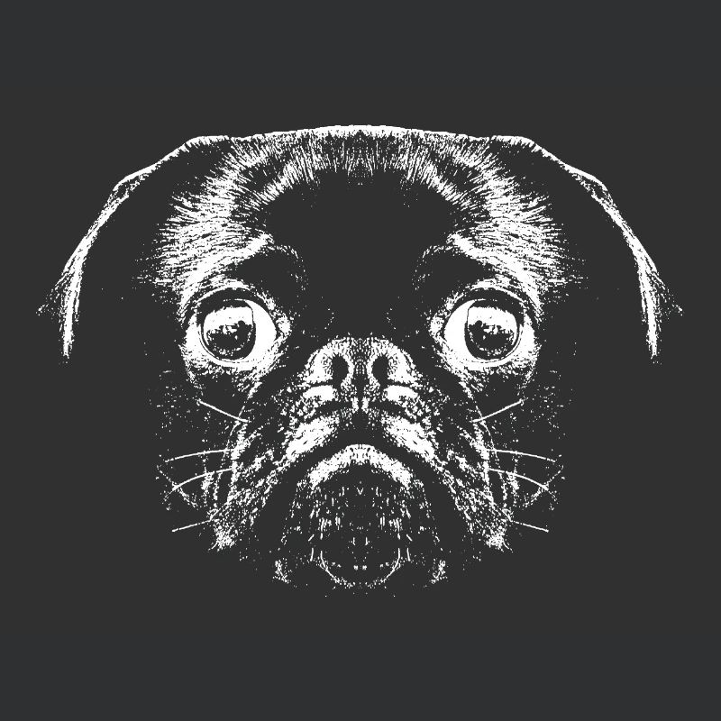 Pug / Face / Head