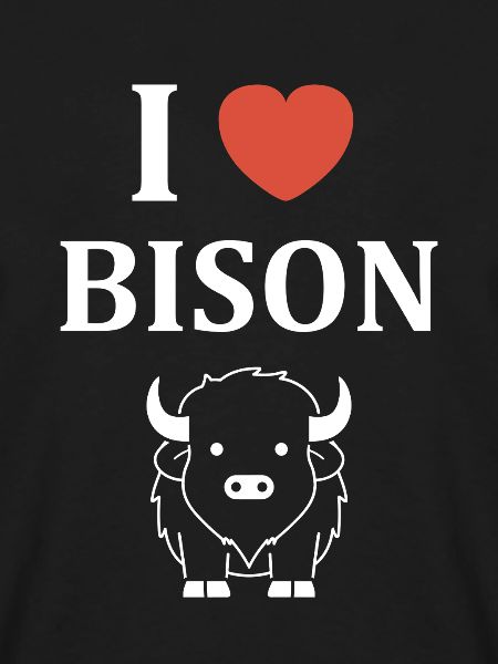 Bison