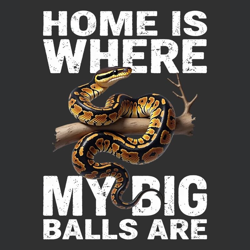 Python roi Serpents Amateurs de terrarium Python