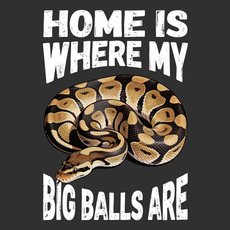 Python roi Serpents Amateurs de terrarium Python