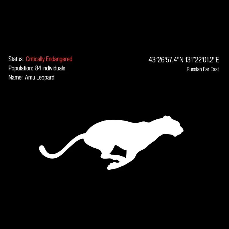 Amu Leopard