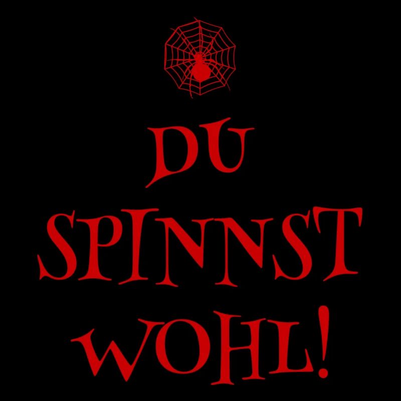 DU SPINNST WOHL - SPINNER - SPINNE - SPINNENNETZ