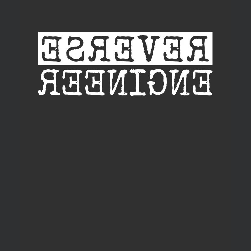 Reverse Engineer Softwareingenieur Developer