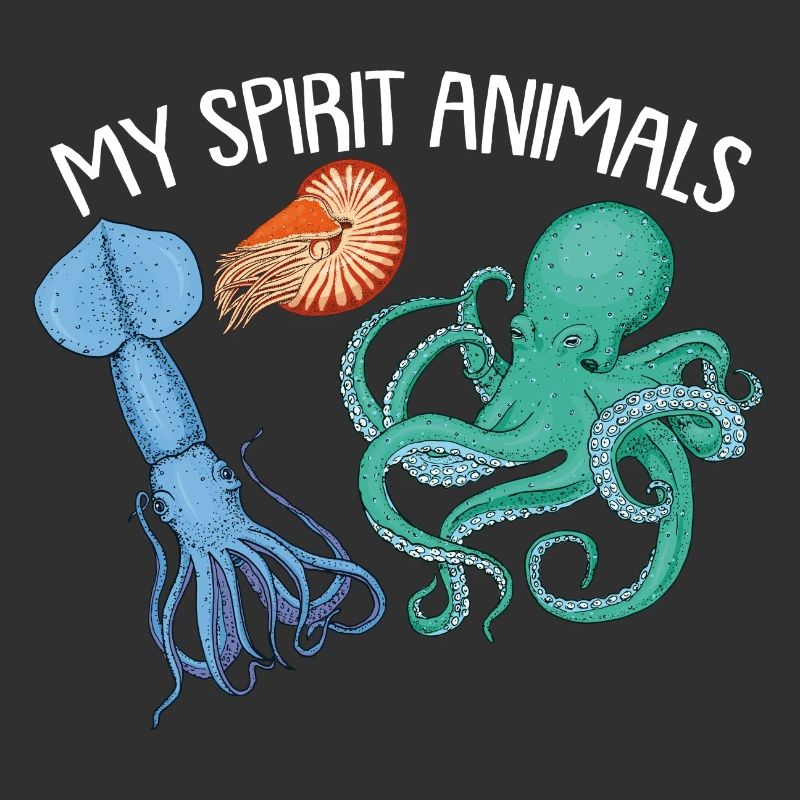 Cephalopode, Krake, Oktopus