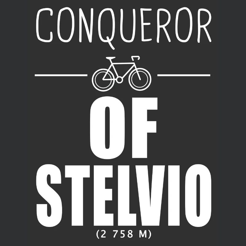 Conquérant du Stelvio cycliste Alpes