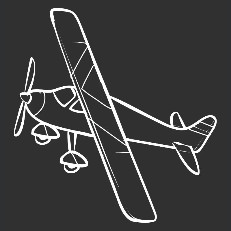 Modèle d’avion télécommandé