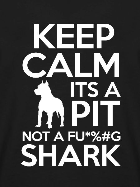 Pitbull