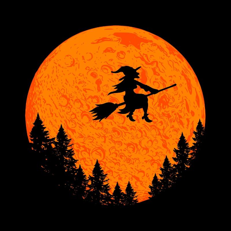 Halloween witch on witch broom