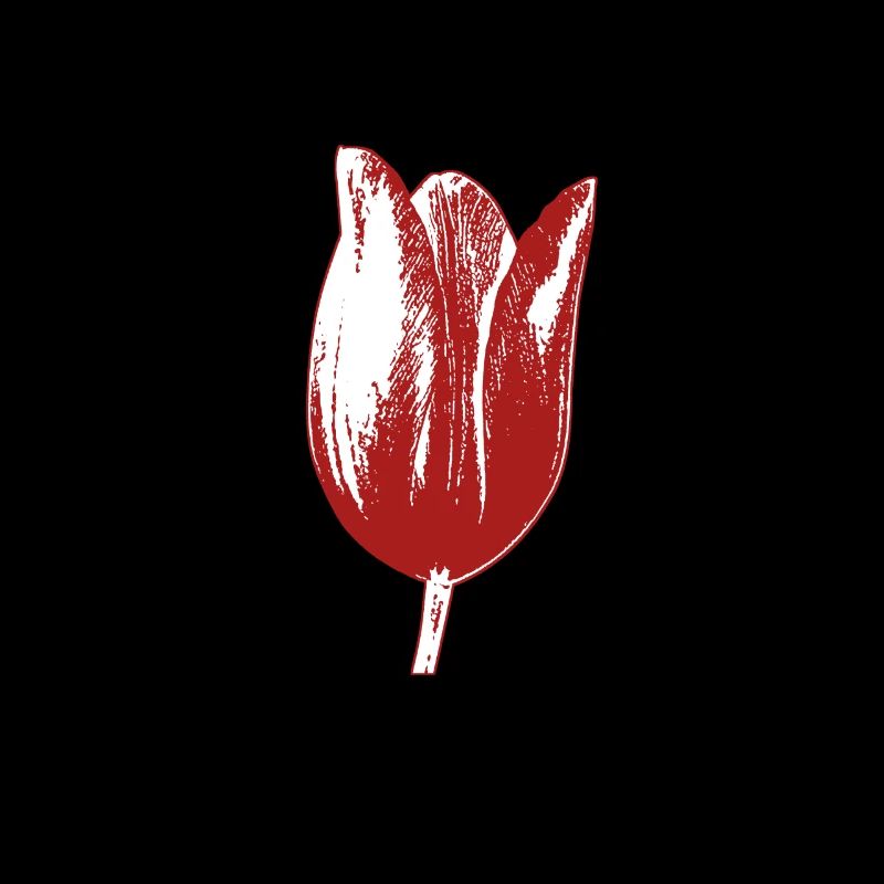 Tulips Tulips