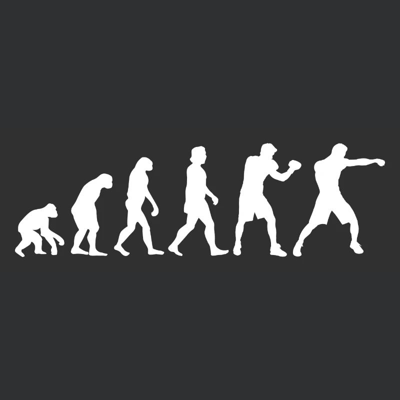 Gants de boxe Evolution Boxer cadeau de boxe