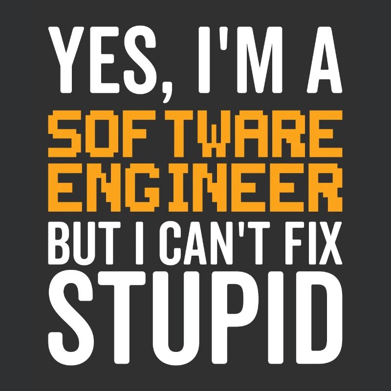 Stupid Software Engineer