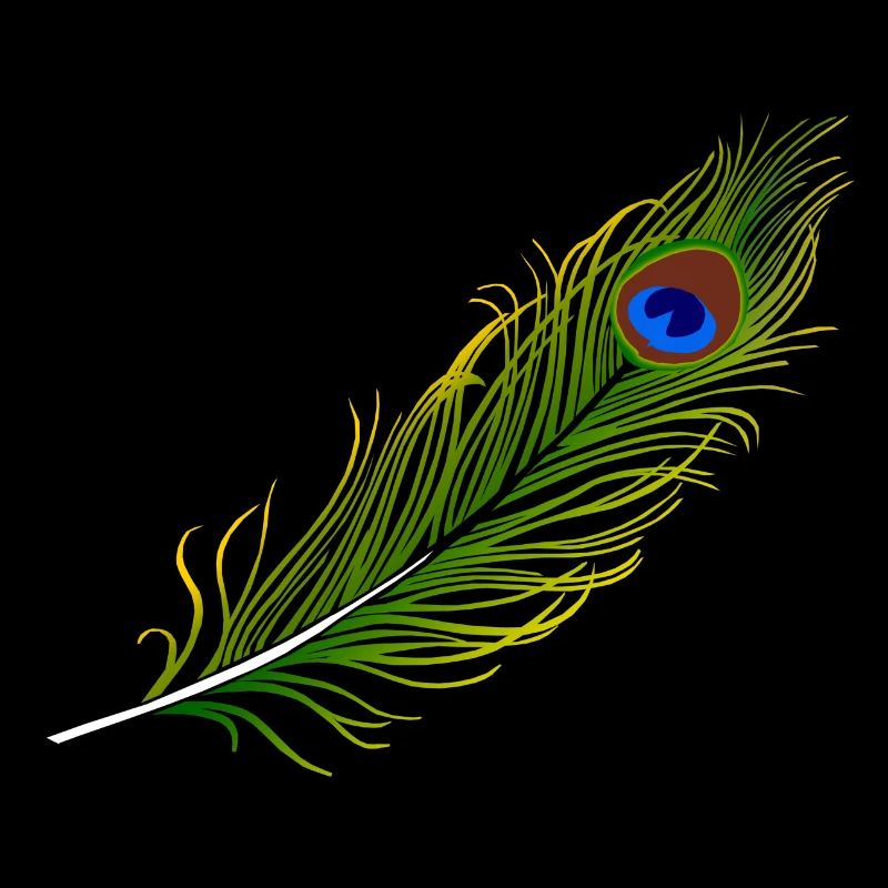 Jodha Akbar feather
