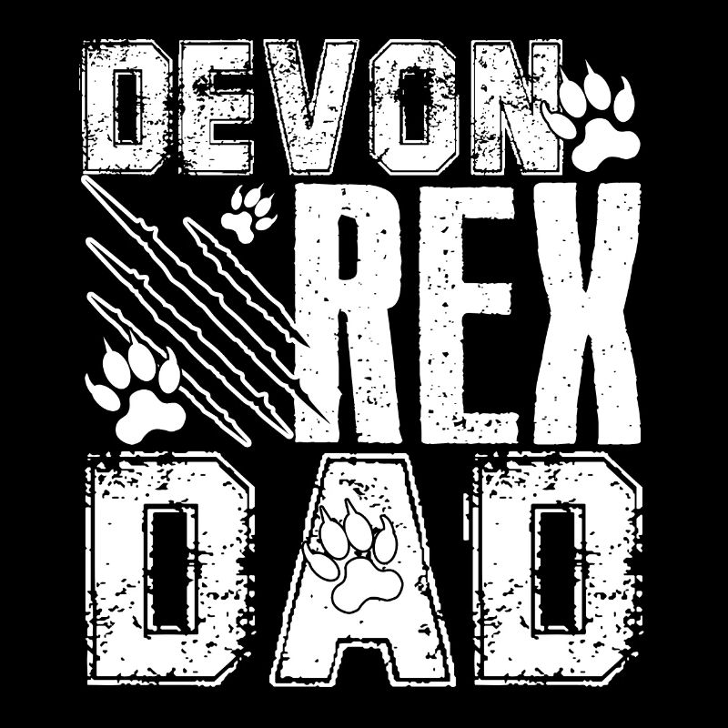 Chat Devon Rex Papa Devon Rex