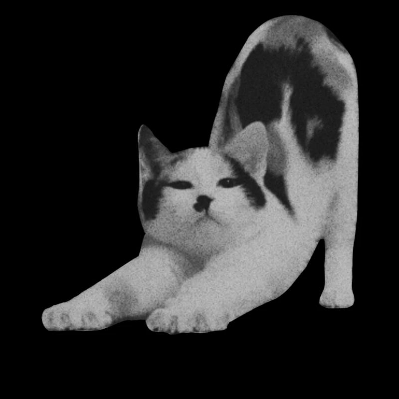 montag Mood