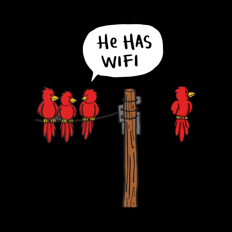 WIFI birds