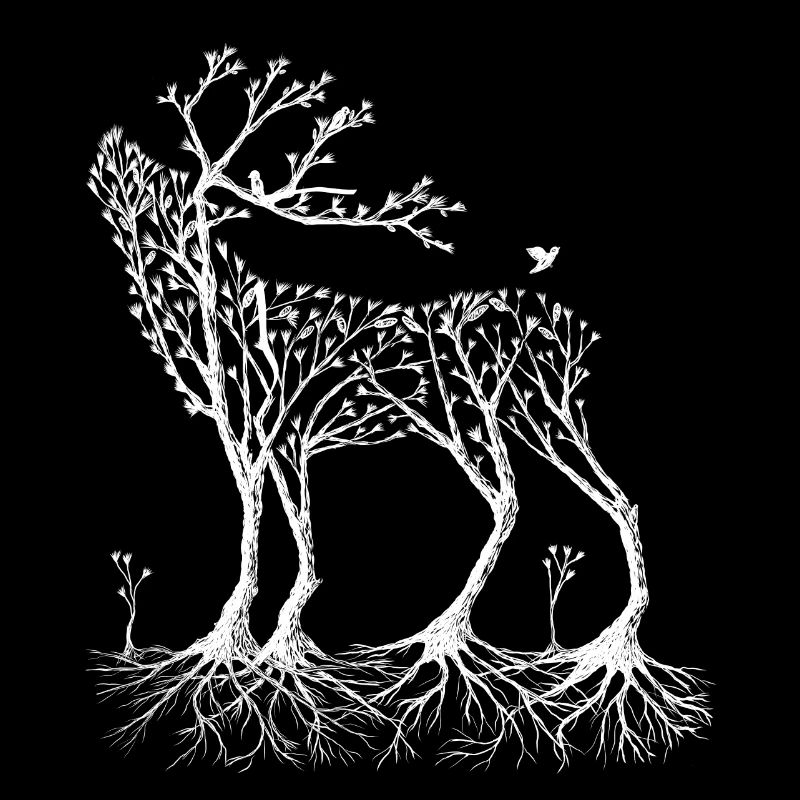 Cerf de forêt en blanc