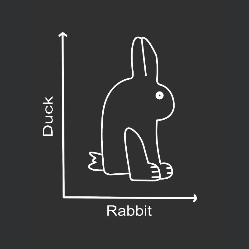 DUCK RABBIT - Rabbit Duck - Graph lesson