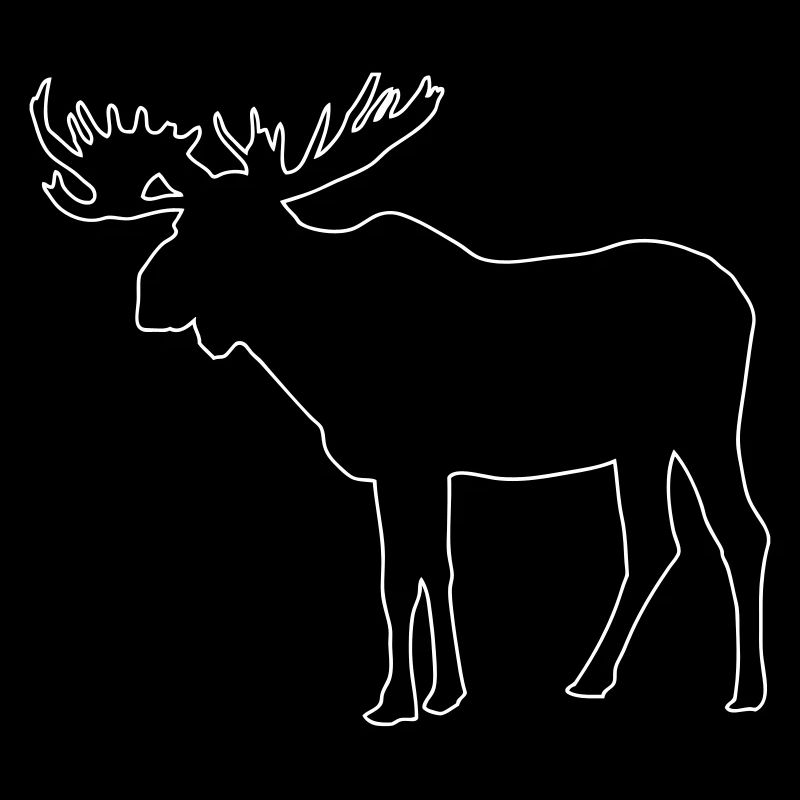 Elch - Moose