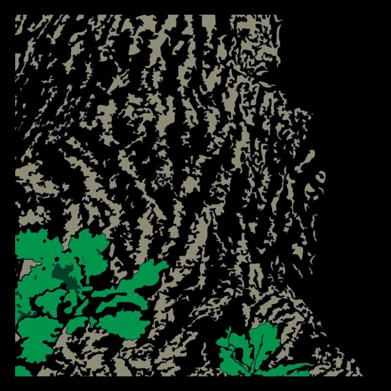 Eiche Eichenbaum Rinde