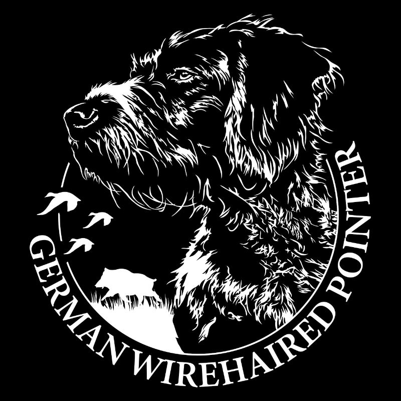 GERMAN WIREHAIRED POINTER Wilsigns Jagdhunde dog