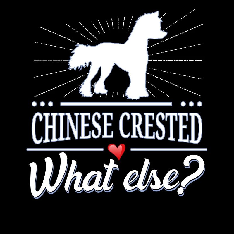 Chinese Crested Dog what else? Chinese Crested