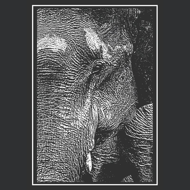 Eléphant blanc