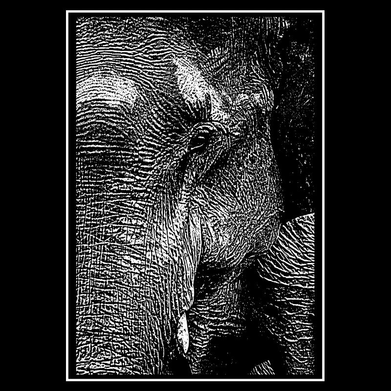 Eléphant blanc