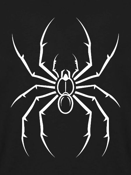 Spinne