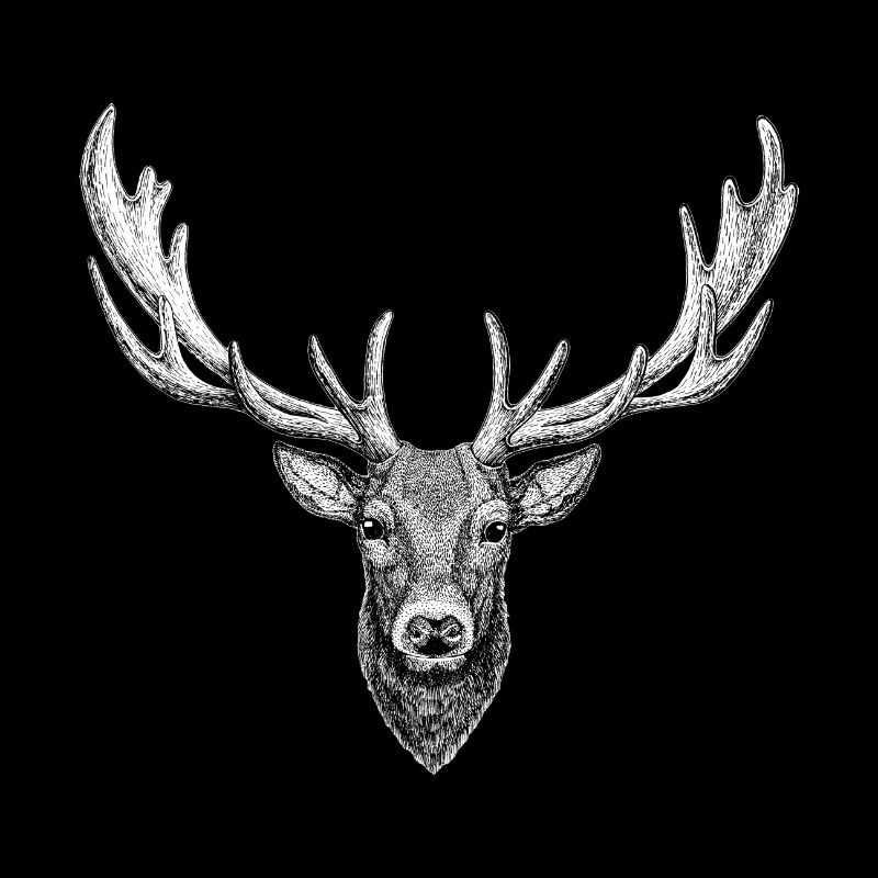 Hirsch