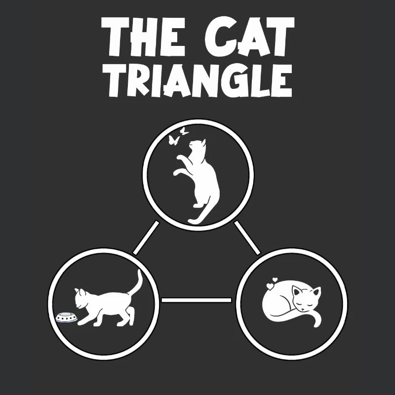 Triangle des chats Cadeau amusant pour les