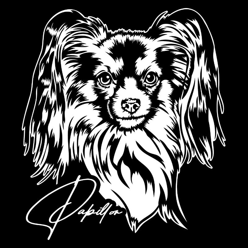 Papillon Portrait Chiens Chien Wilsigns