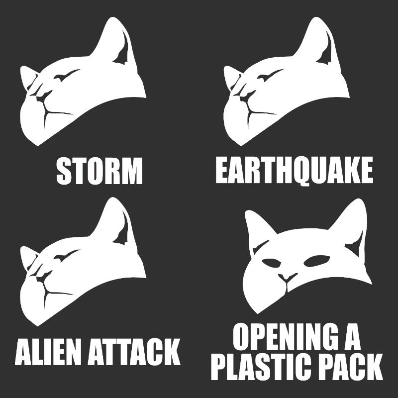 Cat - selective perception - saying