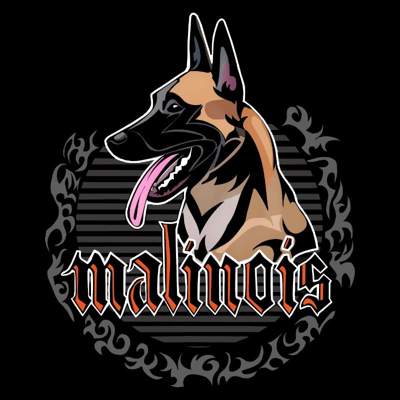 chien malinois
